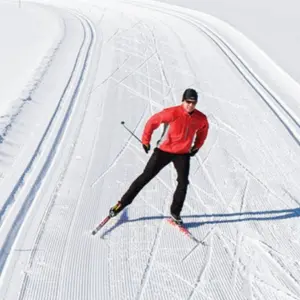 Skiing & Skating